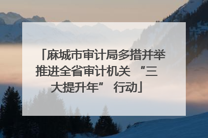 麻城市审计局多措并举推进全省审计机关 “三大提升年” 行动